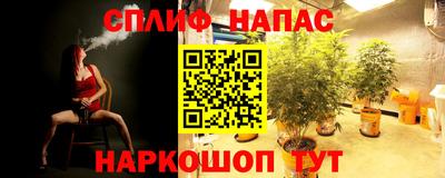дживик Кимры