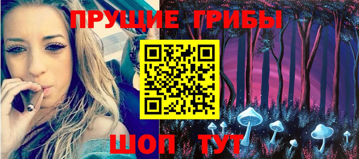Псилоцибиновые грибы MAGIC MUSHROOMS  Вход с VPN  закладки  Зеленогорск  Галлюциногенные грибы Psilocybine cubensis 